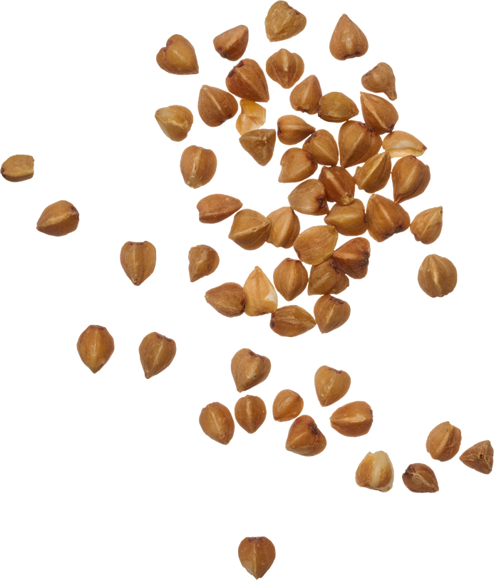 Raw buckwheat grains on isolated background